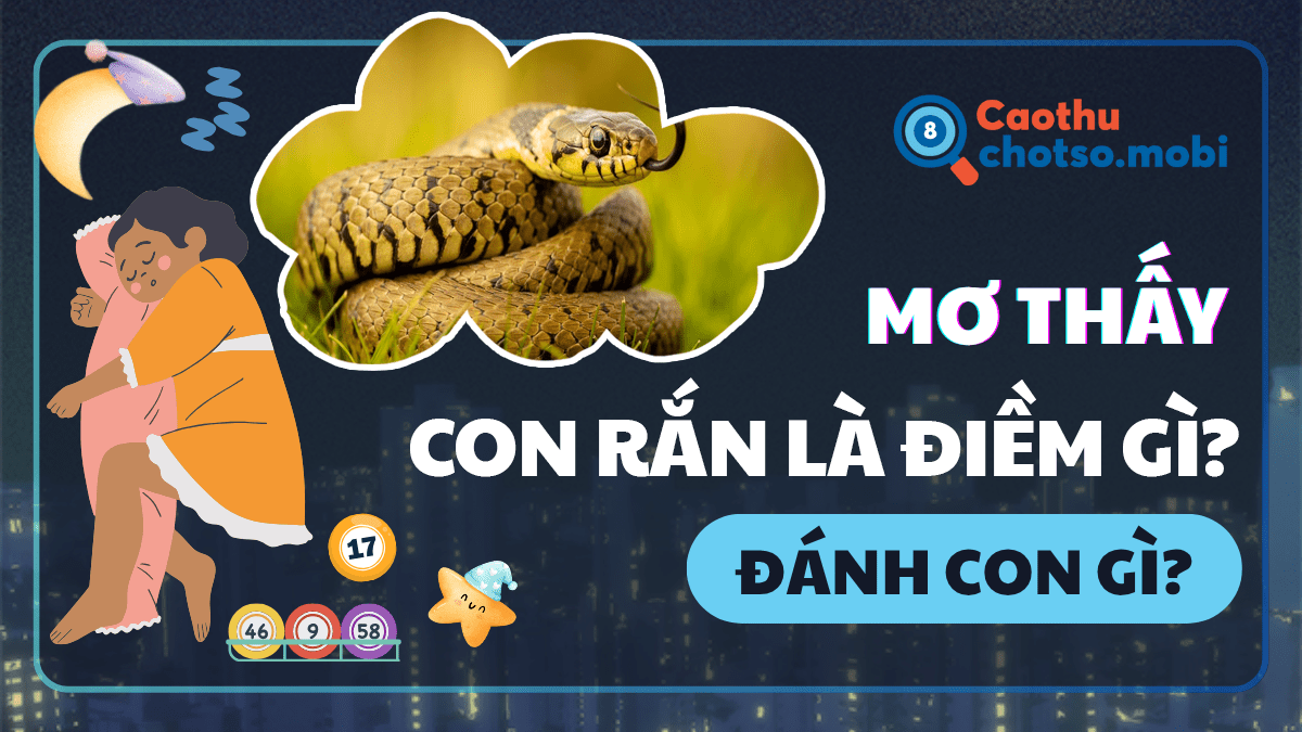 Mơ thấy rắn có ý nghĩa may hay xui? Đánh số gì?
