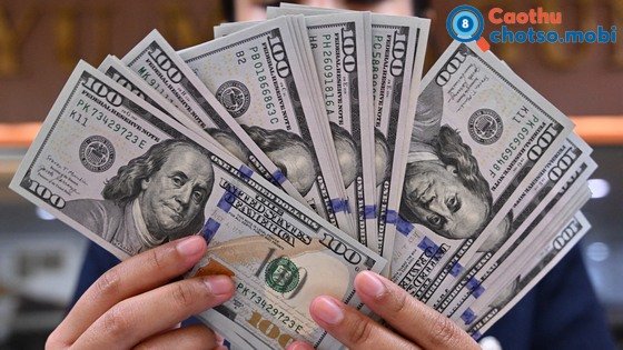 Giải mã ý nghĩa giấc mơ thấy tiền bạc