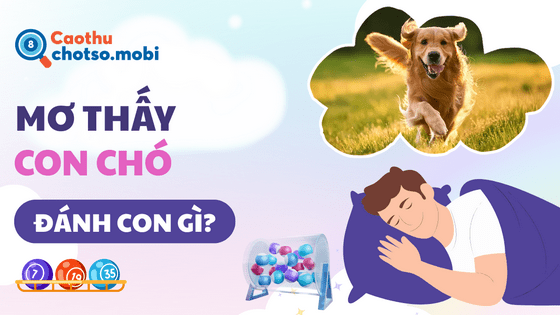 Đánh số mấy khi ngủ mơ thấy con chó?