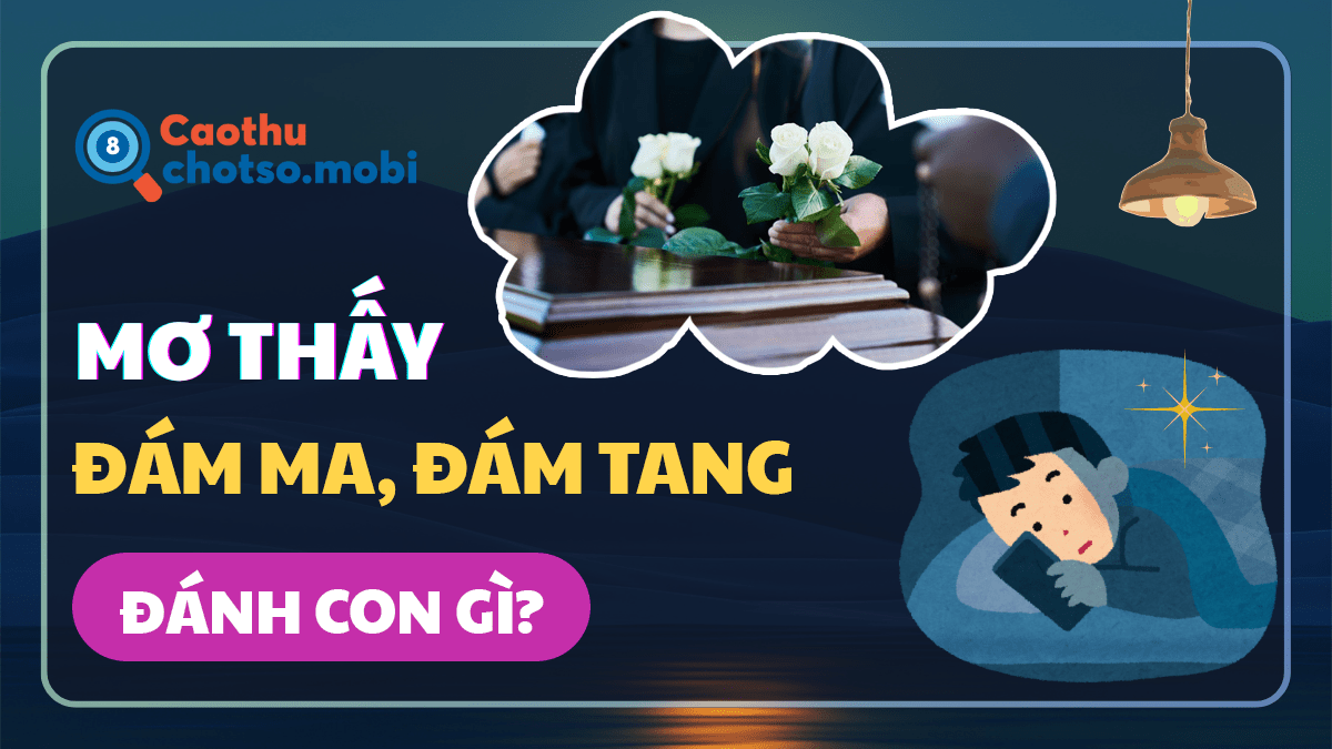 Ngủ mơ thấy đám ma đánh số bao nhiêu?