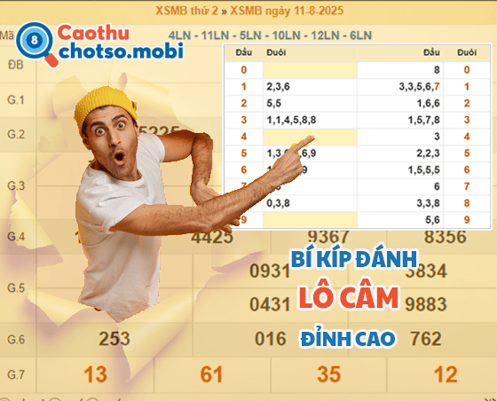 Đừng bỏ lỡ bí kíp soi cầu lô câm cực hay