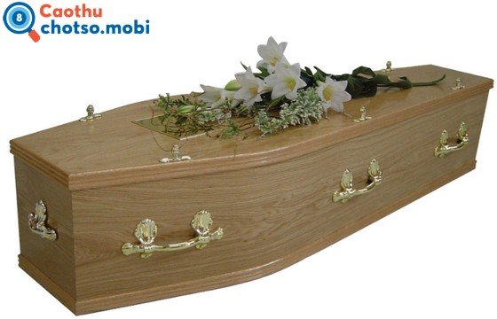 Ngủ mơ thấy quan tài báo hiệu gì cho tương lai của bạn?