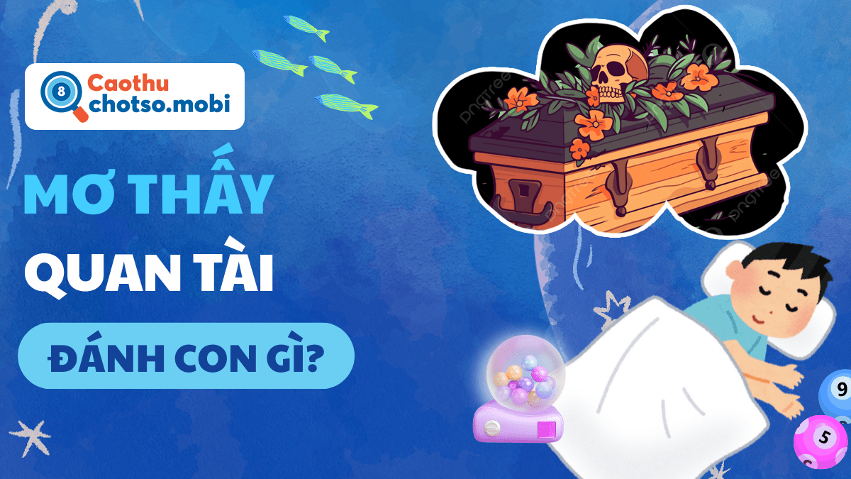 Mơ thấy quan tài đánh đề số mấy?