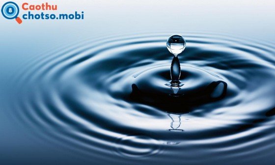 Ngủ mơ thấy nước là điềm báo may hay xui?