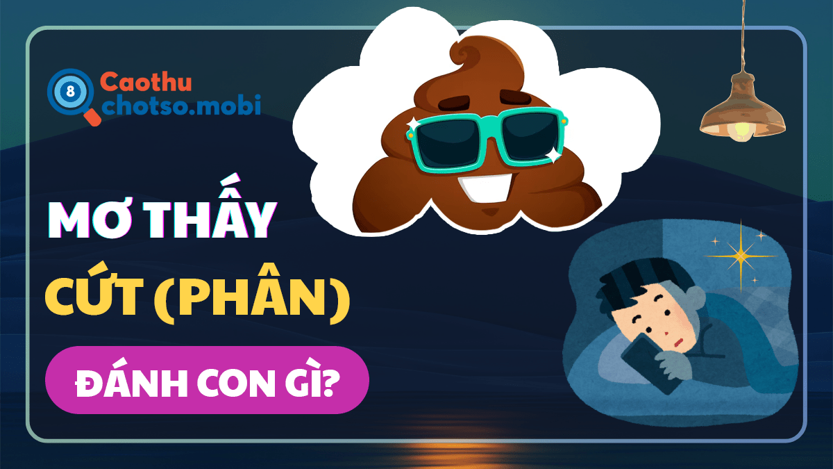 Nằm mơ thấy cứt đánh số đề gì?