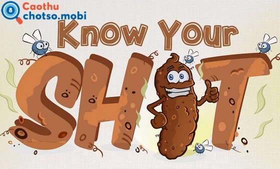 Chiêm bao thấy cứt dự báo điều gì?