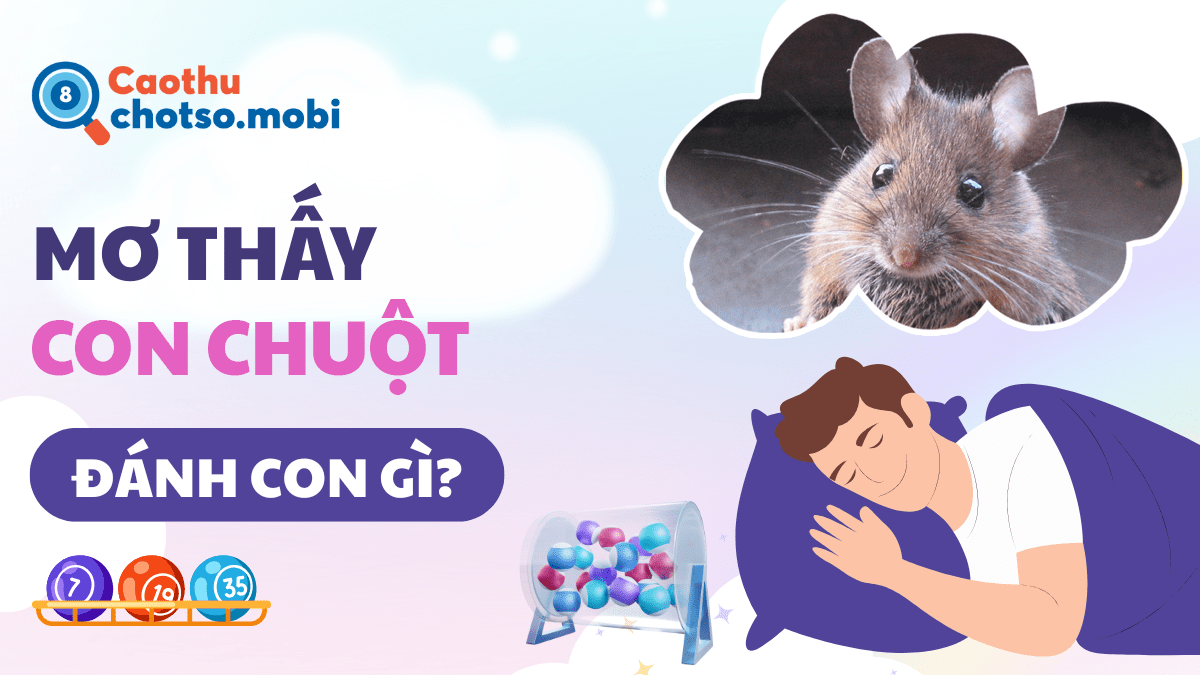 Ngủ mơ thấy chuột đánh số mấy?
