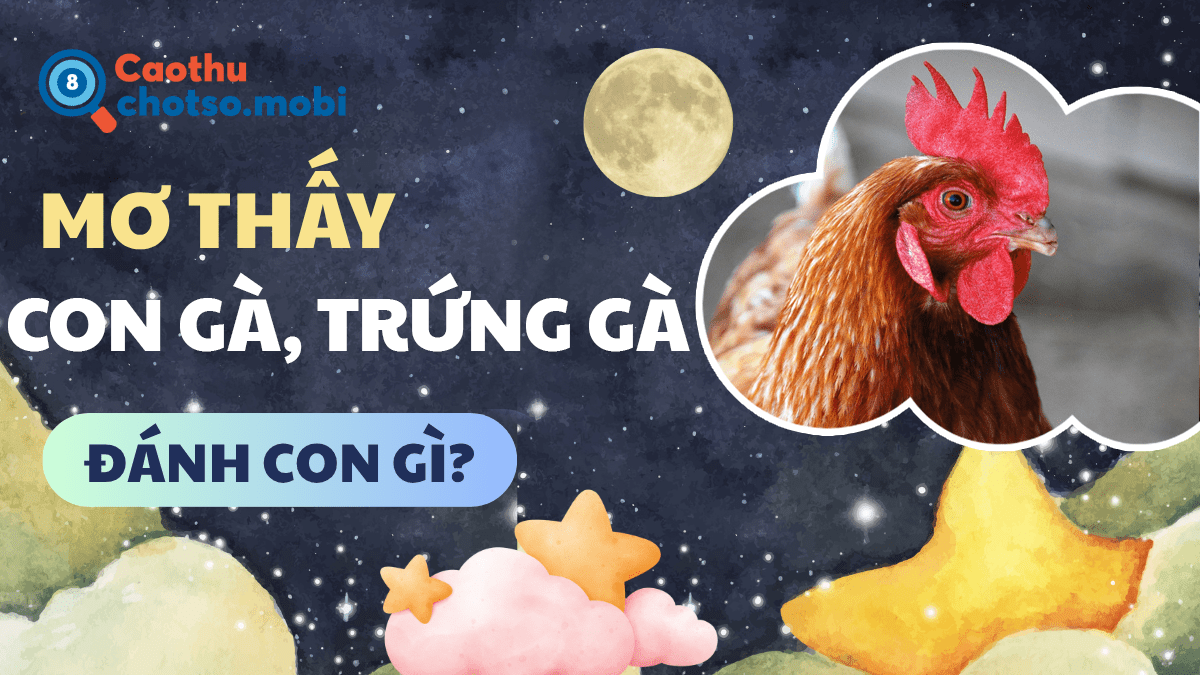 Ngủ mơ thấy gà đánh số mấy?