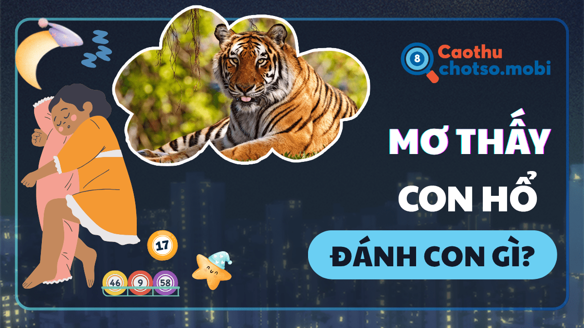 Nằm mơ thấy hổ đánh số mấy?