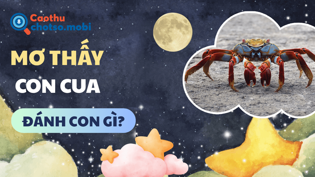 Nằm mơ thấy con cua đánh số bao nhiêu?