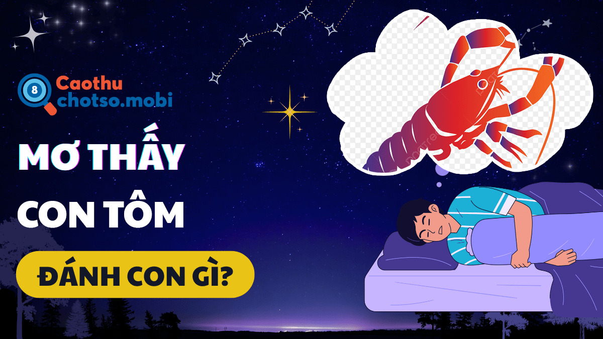 Nằm mơ thấy con tôm nên mua số mấy?