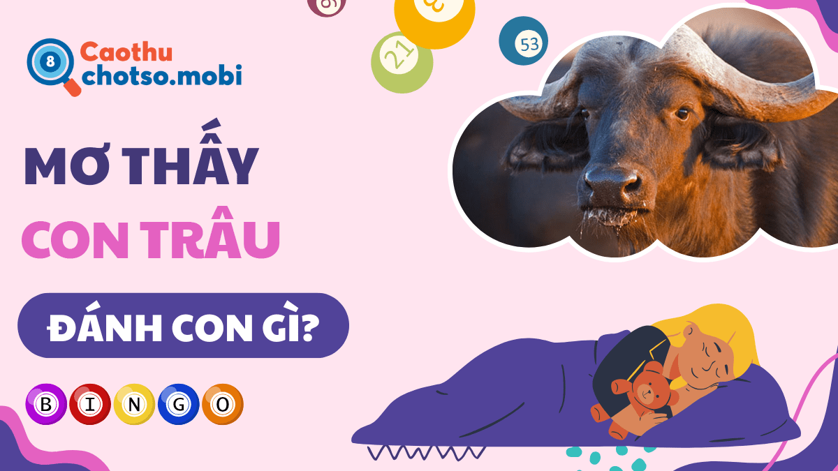 Nằm mơ thấy con trâu đánh số bao nhiêu dễ trúng lớn?