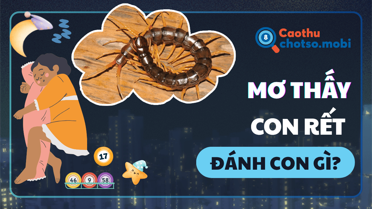 Ngủ mơ thấy rết đánh số bao nhiêu?