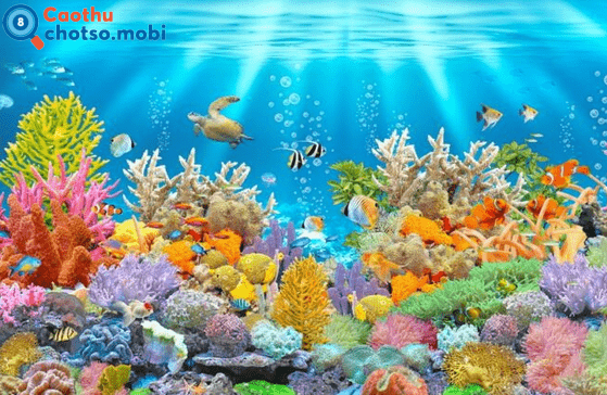 Chiêm bao thấy biển là lành hay dữ? Chiêm bao thấy biển là lành hay dữ?