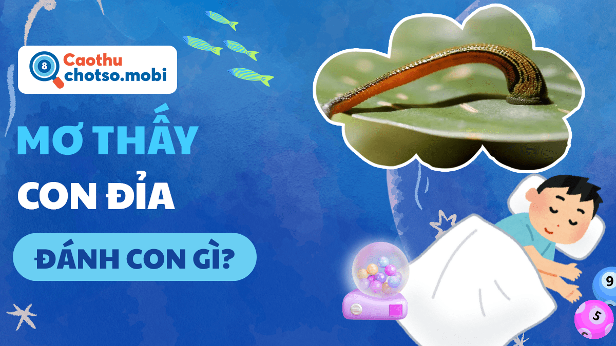 Ngủ mơ thấy đỉa đánh số bao nhiêu? Ngủ mơ thấy đỉa đánh số bao nhiêu?