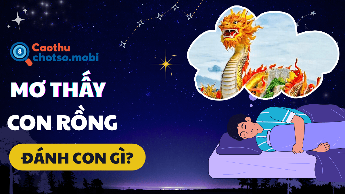 Ngủ mơ thấy con rồng nên mua số mấy?