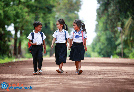 Nằm chiêm bao thấy đi học là điềm báo tốt hay xấu?