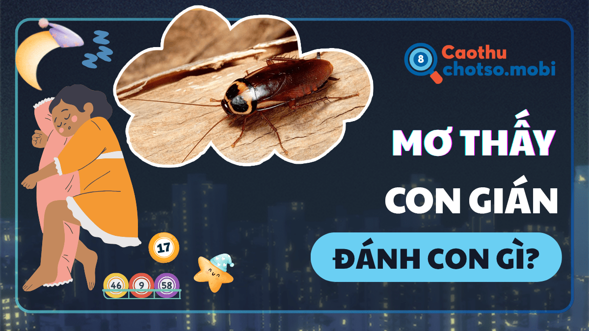 Nằm mơ thấy con gián đánh số bao nhiêu?