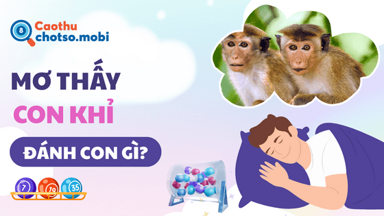 Ngủ mơ thấy khỉ đánh số bao nhiêu?