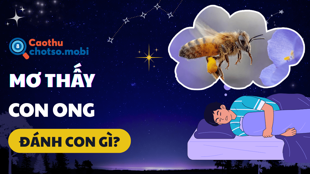 Ngủ mơ thấy ong đánh con gì dễ trúng số?