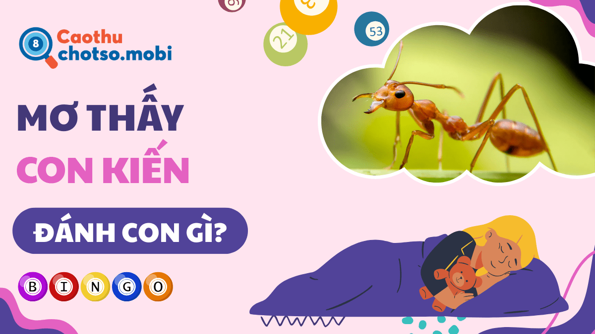 Mơ thấy con kiến đánh số mây?