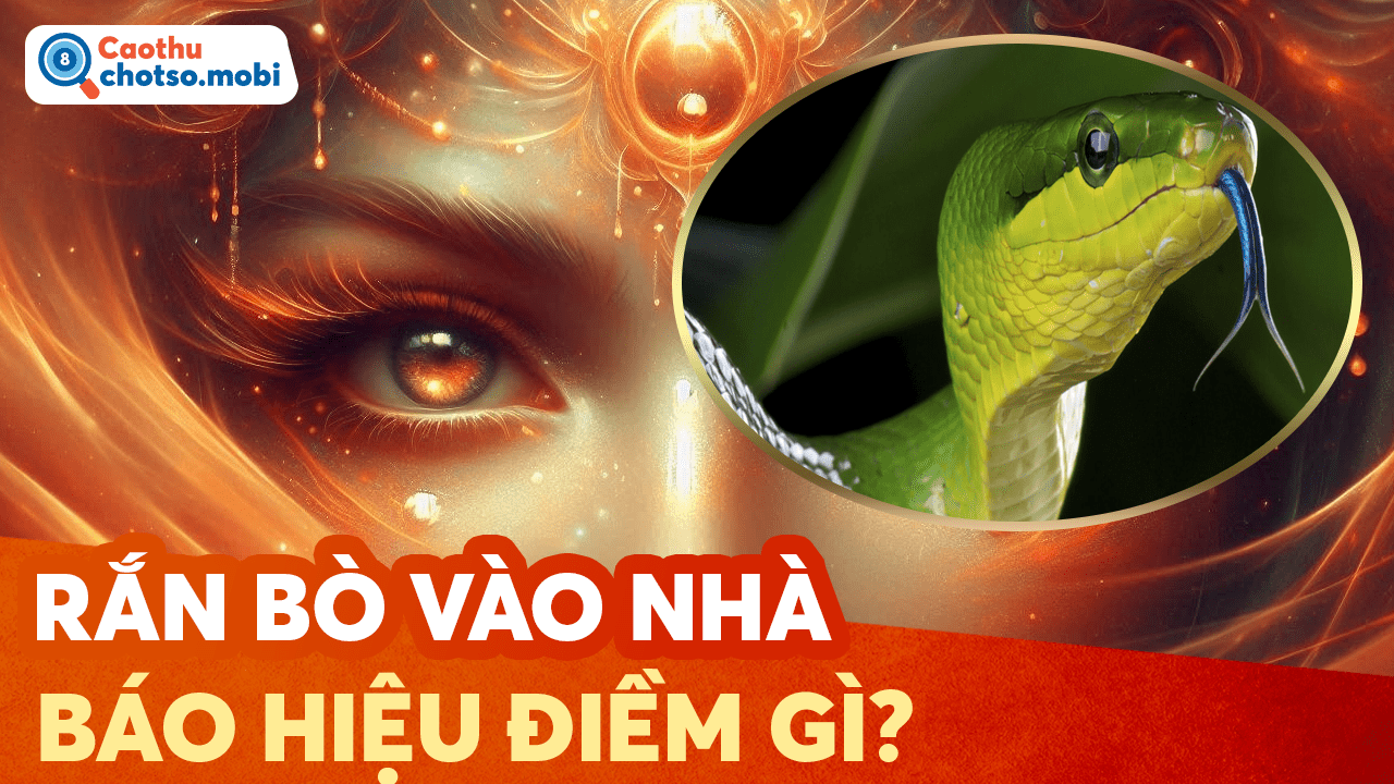 Thấy rắn bò vào nhà nên đánh con gì?