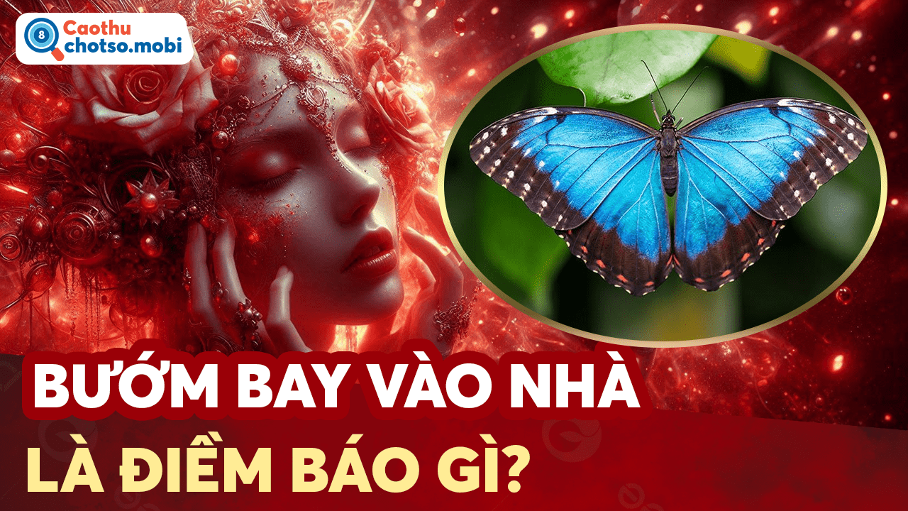 Bướm vào nhà có ý nghĩa tâm linh gì?