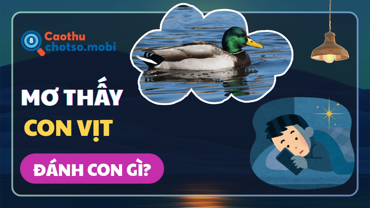 Mơ thấy con vịt, quả trứng vịt nên mua số nào?