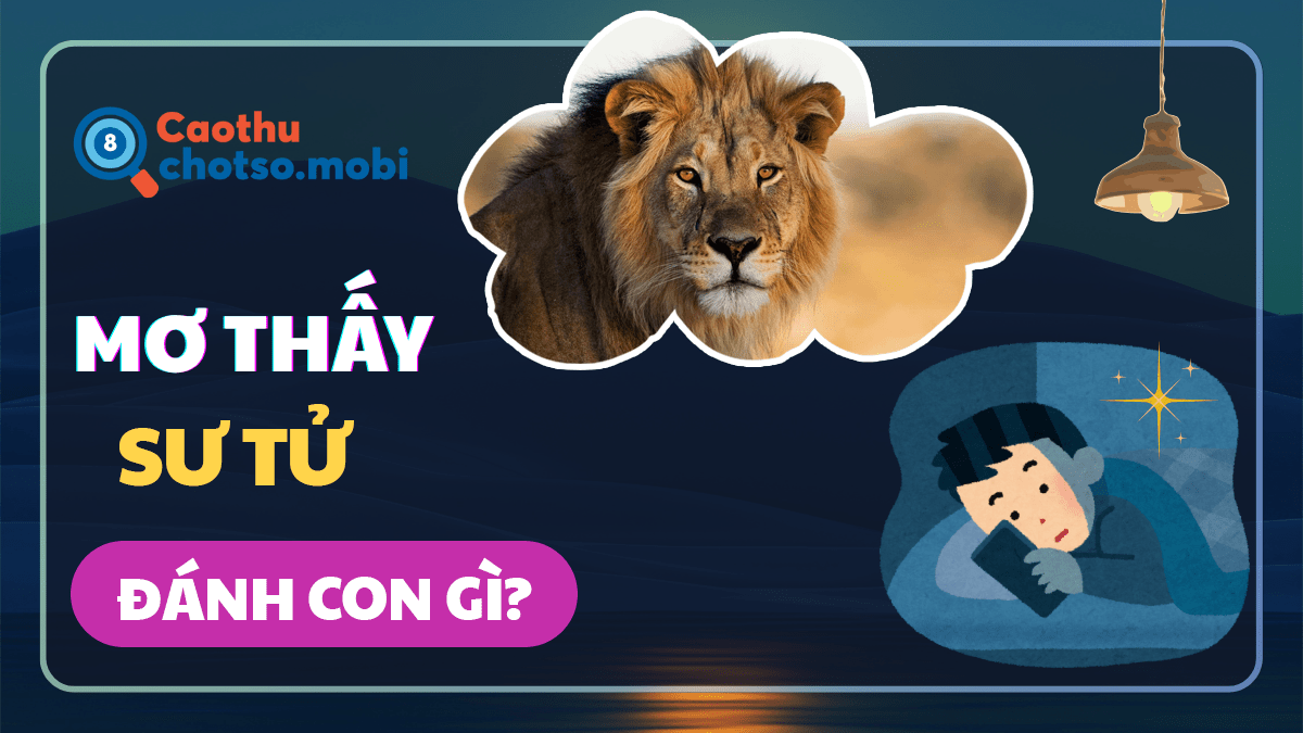 Nằm mơ thấy sư tử nên đánh số mấy?