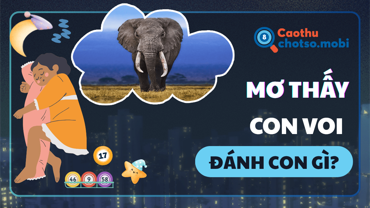 Mơ thấy con voi nên đánh số mấy?
