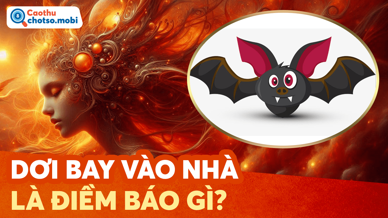Giải mã hiện tượng dơi bay vào nhà, đậu lên người