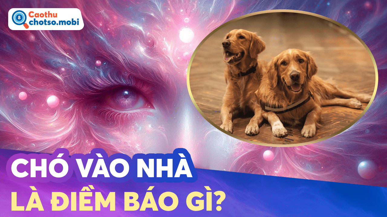 Giải mã điềm báo chó đến nhà là điềm lành hay dữ?