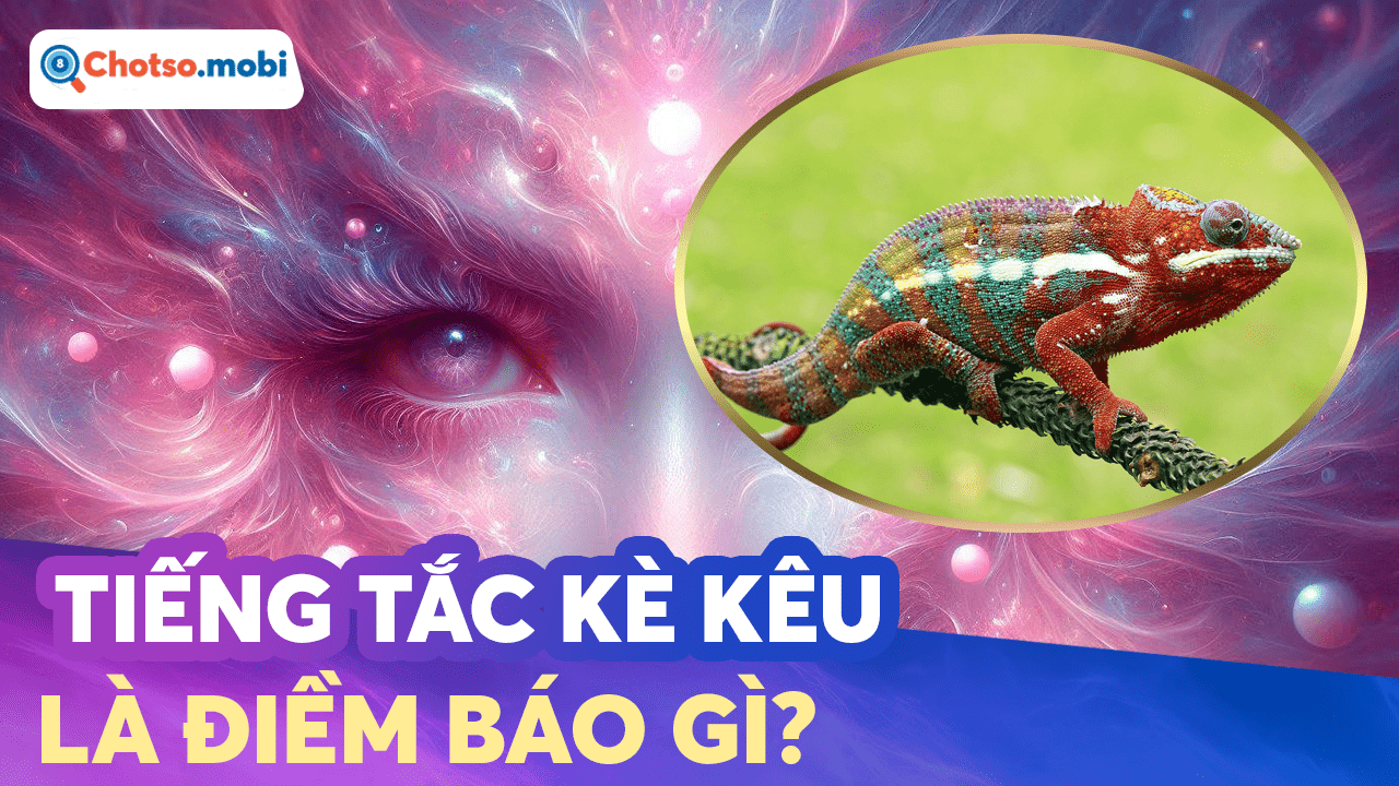 Giải mã điềm báo tâm linh tắc kè đến nhà hoặc kêu bất thường