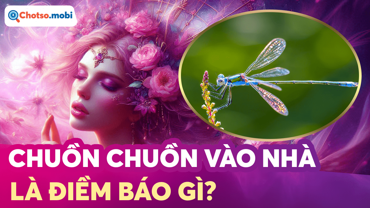 Chuồn chuồn vào nhà, đậu lên người có ý nghĩa gì? Chuồn chuồn vào nhà, đậu lên người có ý nghĩa gì?