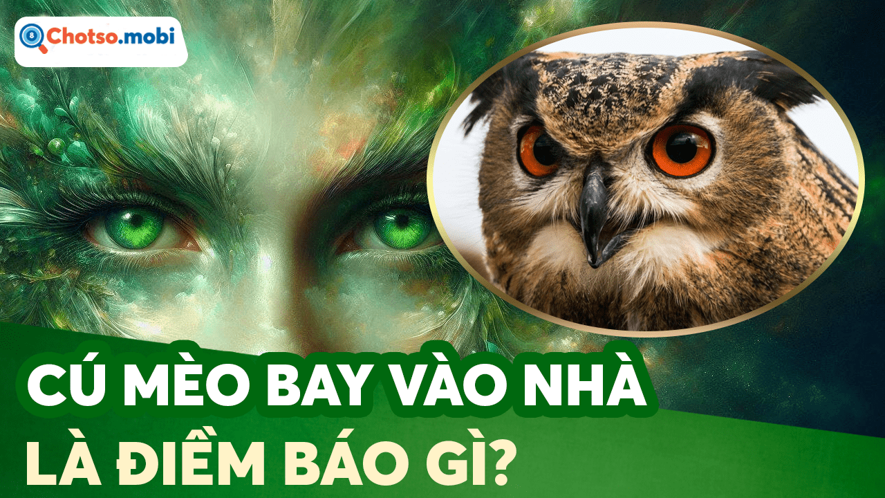 Cú mèo vào nhà dự báo điềm xui hay may?