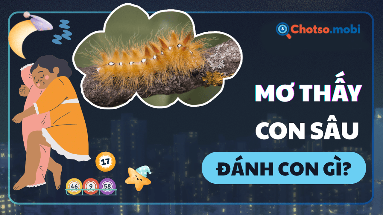 Ngủ mơ thấy sâu nên đánh số mấy?