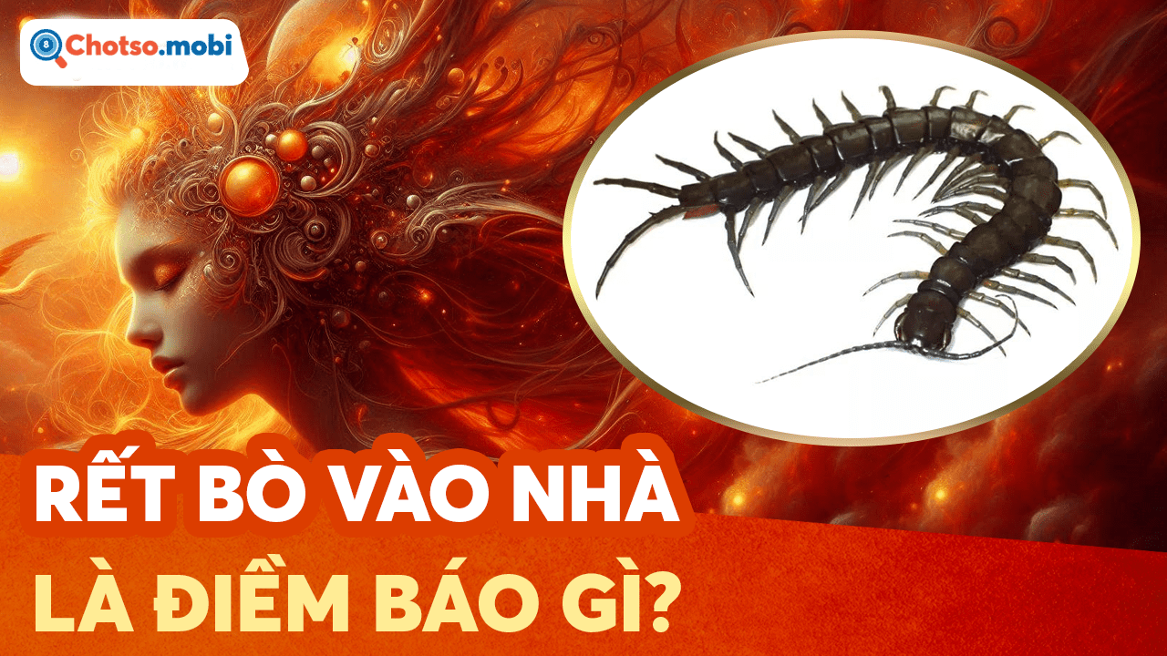 Giải mã điềm báo rết vào nhà, bò lên người